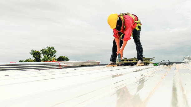 Best Metal Roofing Installation  in Newburgh Heights, OH