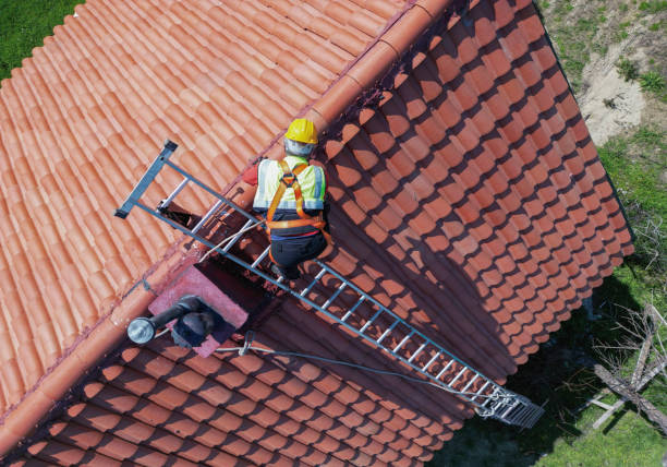 Best Storm Damage Roof Repair  in Newburgh Heights, OH